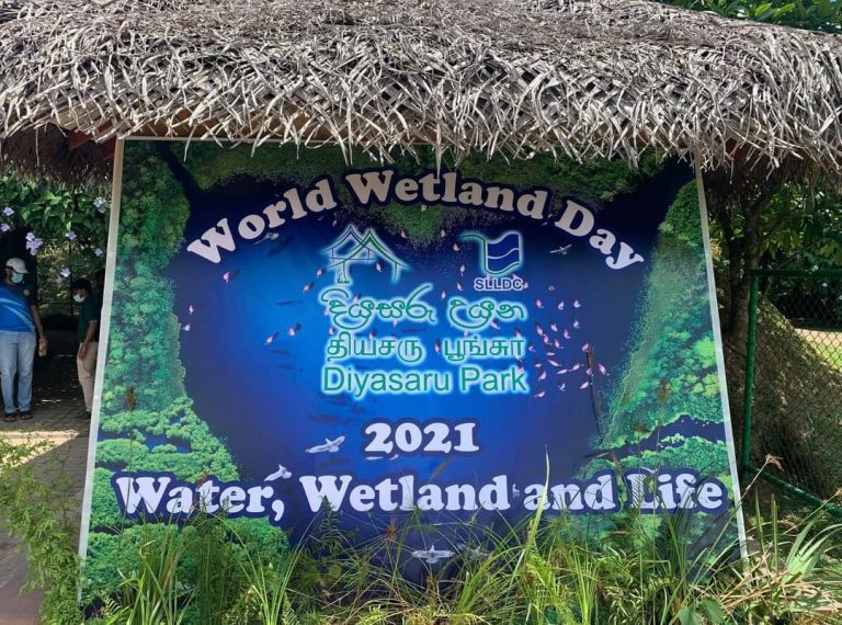 World Wetland Day 2021